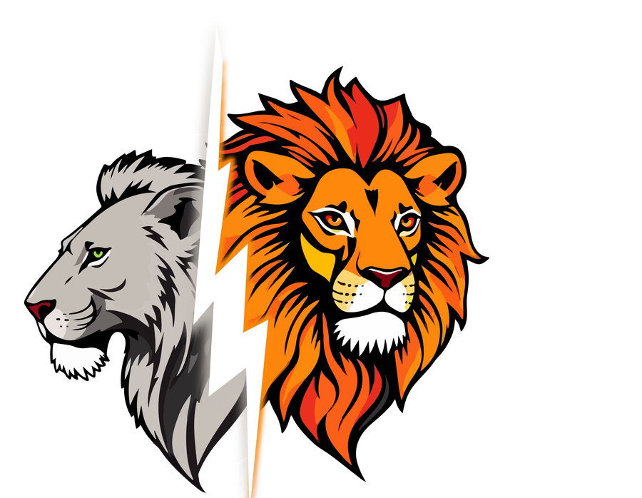 Fit Leones